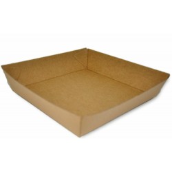 Brown Paper Tray 2